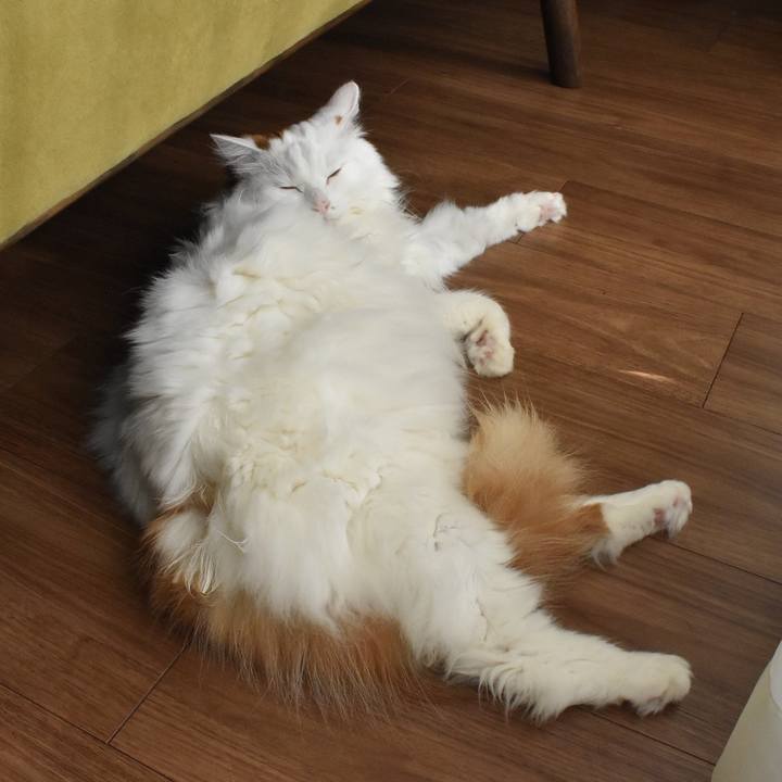 27f3ab91 b157 4483 92b1 cf08bd9cd6a9 1766194019162