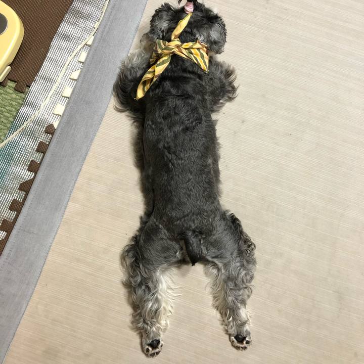 27f3b062 5085 4096 8bfd 6b56527111c5 1627108475737