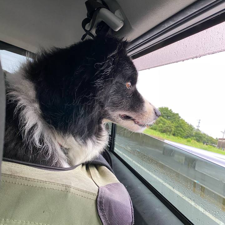 27f3ba07 30c4 431f 901a 1cdb6ab3dcf0 1660687698776