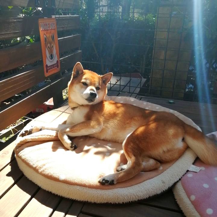 27f3cda7 3eae 4ccd 9401 1260a51e80e3 1645585964499