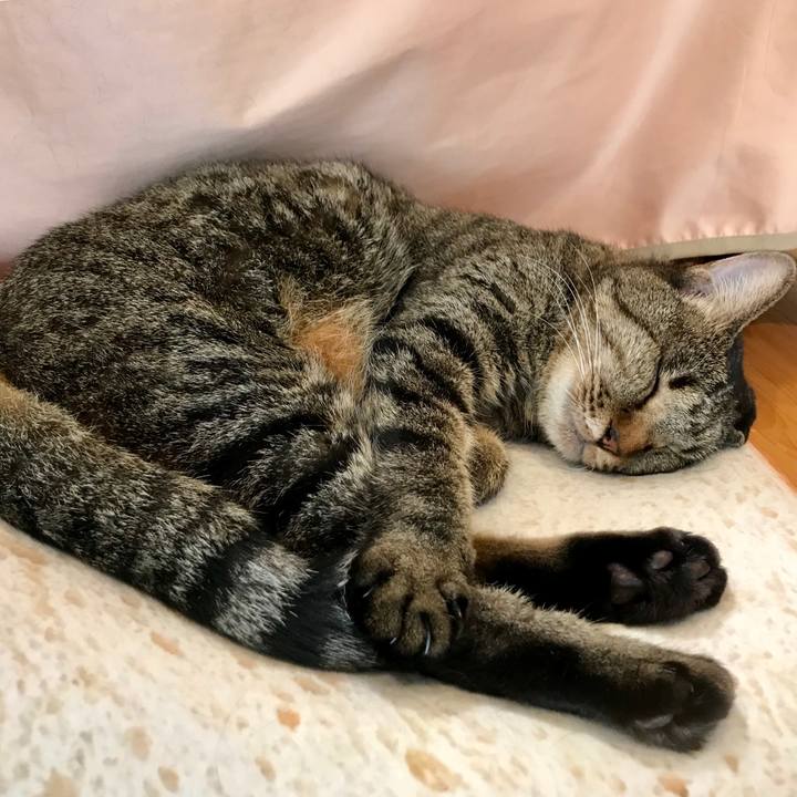 27f3ffad a5bb 40b7 a409 cc7e645d0be1 1538535034741