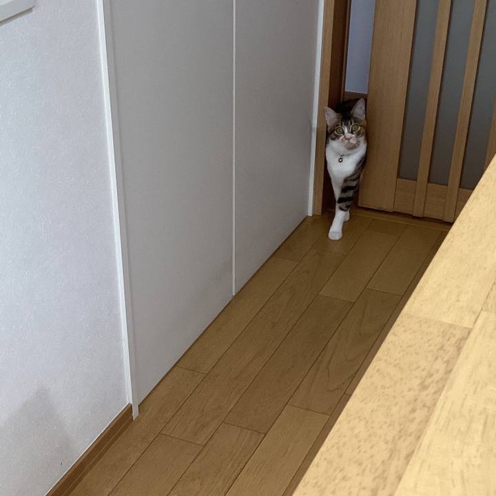 27f40d3b f8d6 4aeb 8ca2 33c654905d53 1646014396220