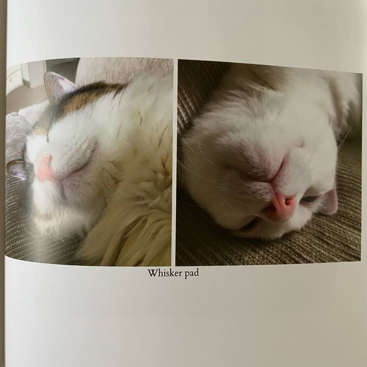 27f43656 1d41 43ae 9a11 8148f9d998a7 1663454089876