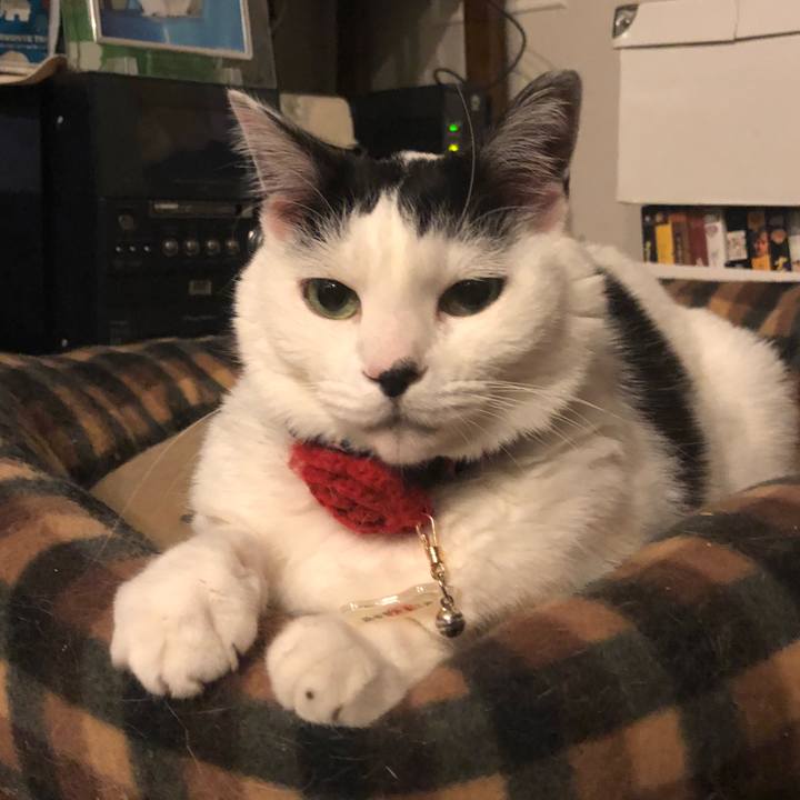 27f44d17 1573 408a 850f 95d3f278495d 1522337477034