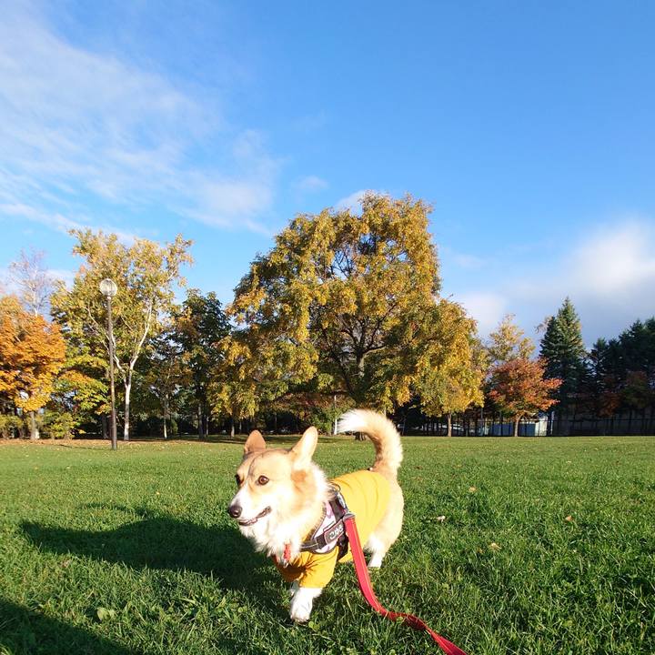 27f4afac b65c 417c 9d48 fbd9d08ebc90 1761004121842