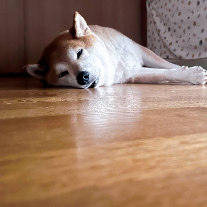 27f4c767 3a56 420e 9463 63df5929671e 1722319780711