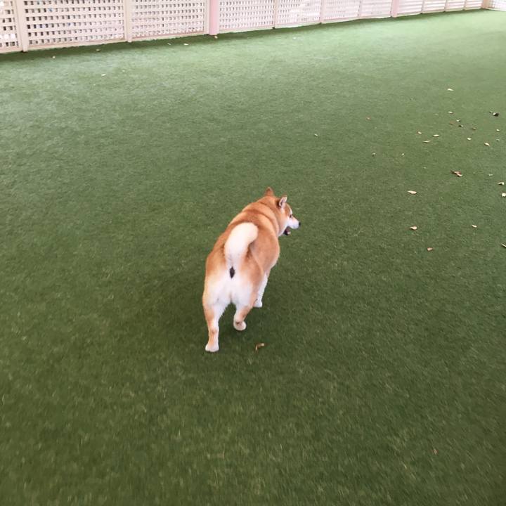 27f4ebe0 eb64 4d11 8b7f e07b139162df 1542357157201