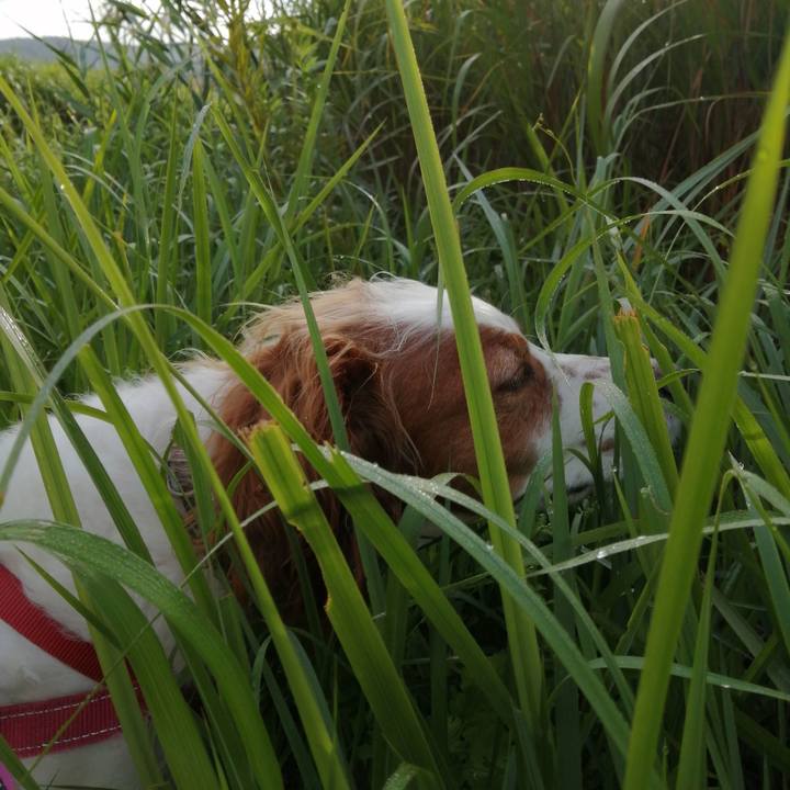 27f51818 2699 49b1 9284 453d265add36 1601250927144