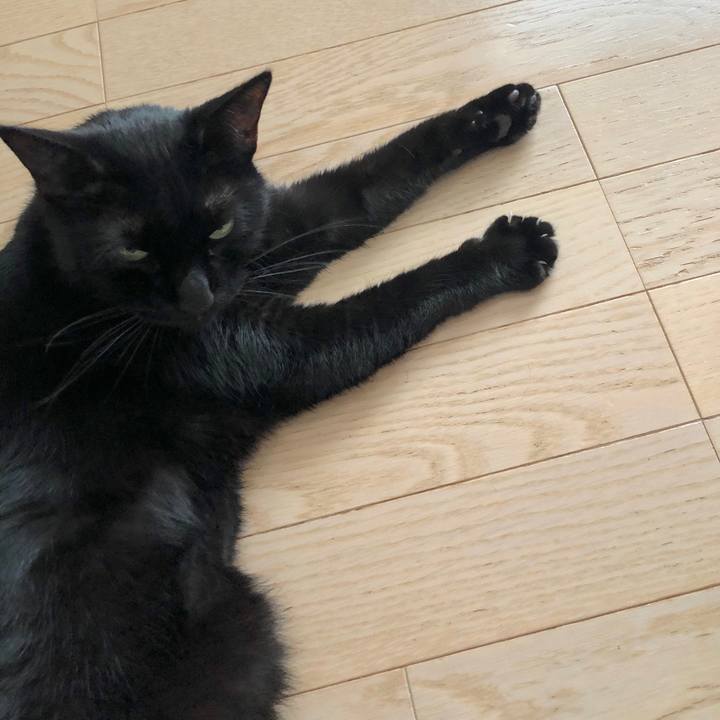 27f52774 161e 4465 be35 33ff7b2d3c37 1574943109275