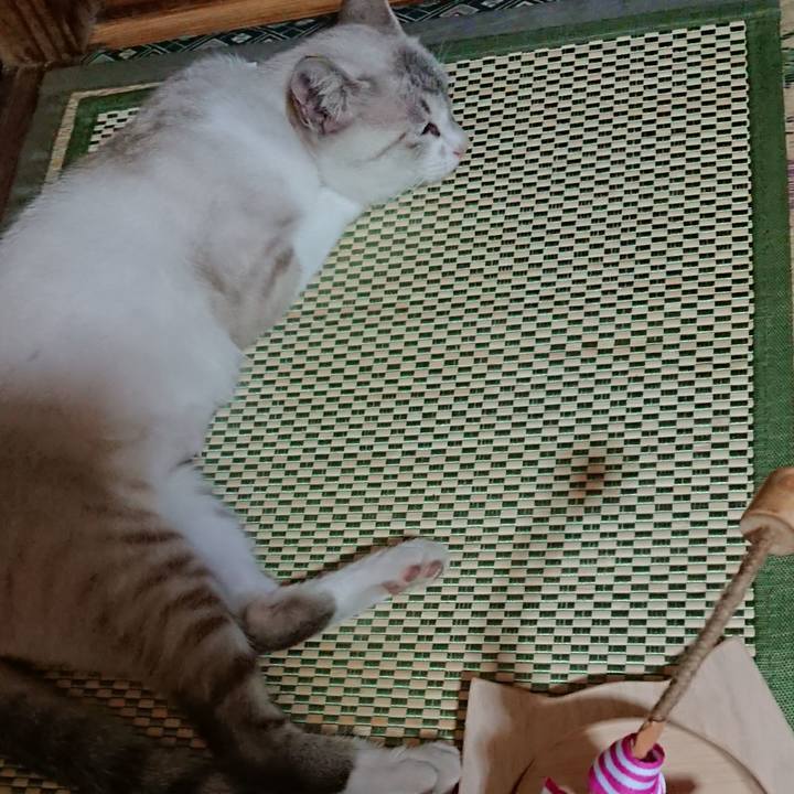 27f542bf b494 4f1c b686 5a572543f3be 1532739315330