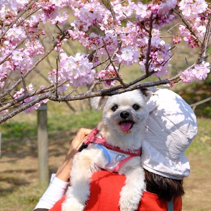 27f54ce2 2250 4396 8082 efa63d5d2227 1678364042323