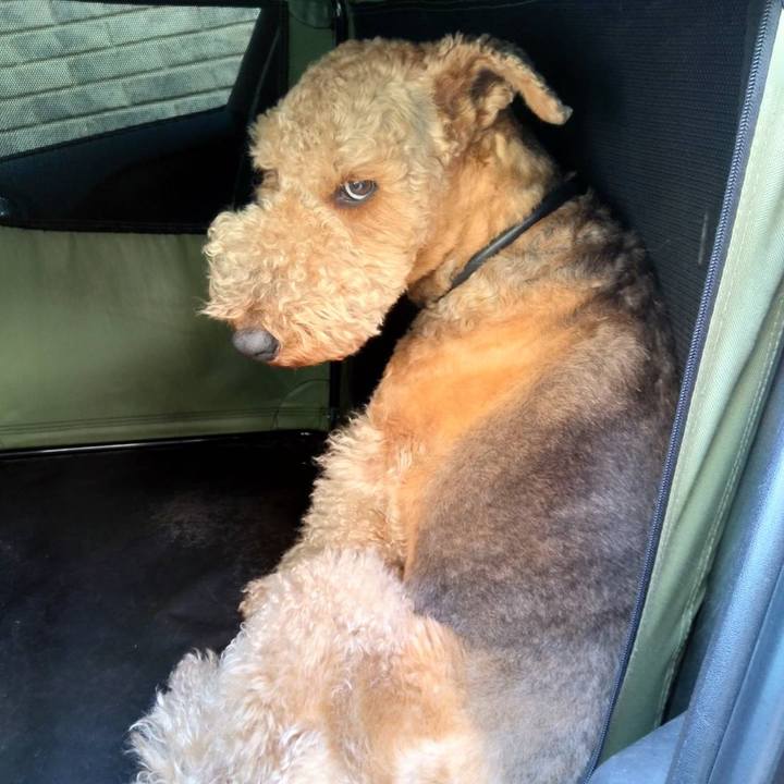 27f562ac 3fa7 4797 bf6e 31c416603673 1585225561364