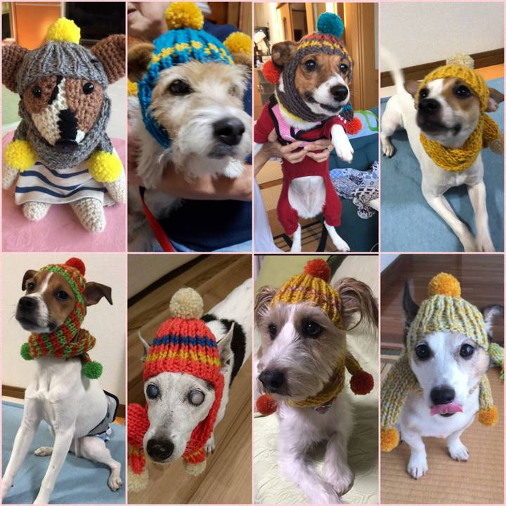 27f5b793 63fc 463b 9c26 87fdcf402836 1540296767538