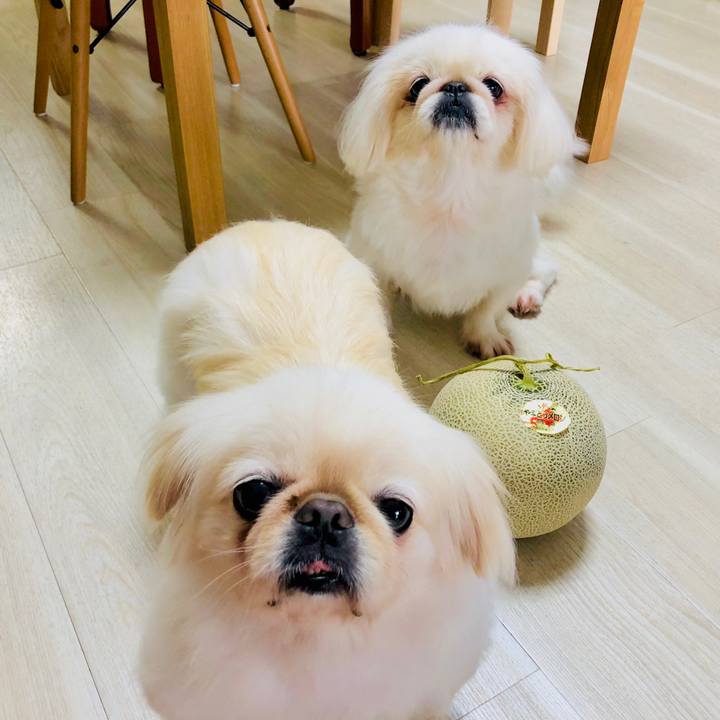 27f5d9a3 ebed 40a0 80a1 adc43b2a0b54 1599104746110