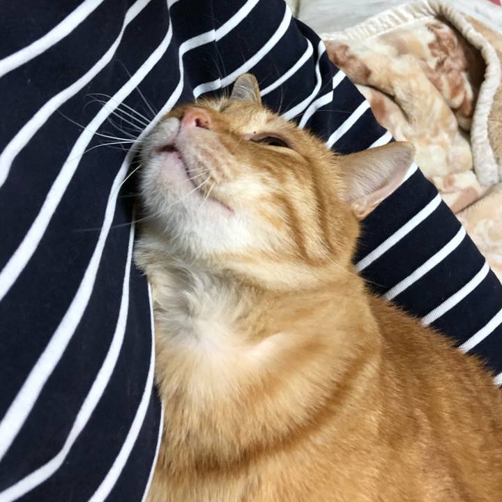 27f5f43a d7f2 4e3f 8ebb 1df7ab099e95 1583931236825