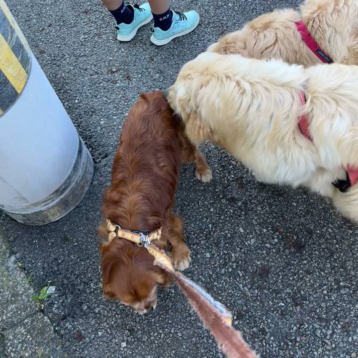 27f64d72 3f80 4ea0 88ac 6043f39c5584 1716593066552