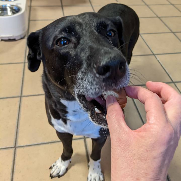 27f6ac6c e2fe 4fb8 a5f5 2c292c08ee29 1661857648205