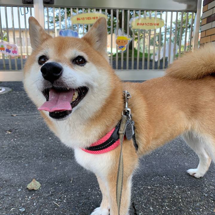 27f6b41a 0c89 4af0 8fab ca582a7d875e 1594859500565