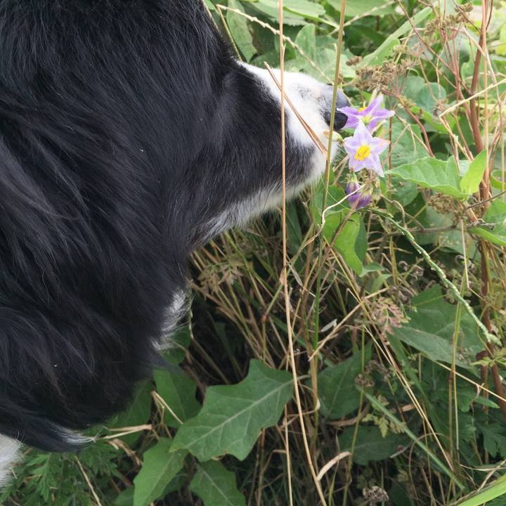 27f6d08d 0659 4373 ac24 4a6bb98fc4e9 1561157352859