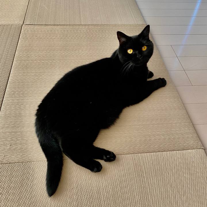 27f6e0d2 ff32 4c7a a9e2 5b4eb3f04c08 1600502986070