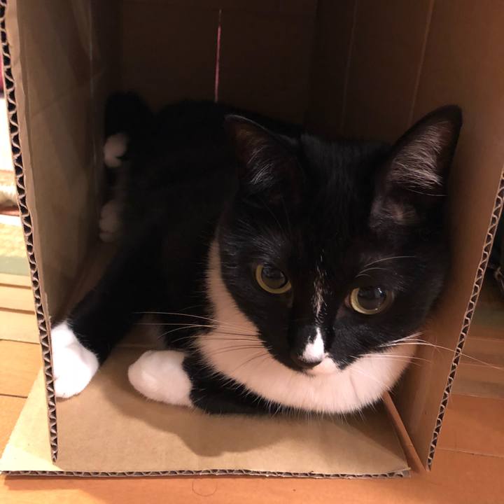 27f6e8e3 0420 4143 84b7 c23bd8330b43 1526593525625