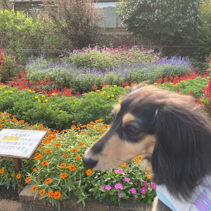 27f727c6 0561 45cc 9745 ba59d45d29cc 1758585804662