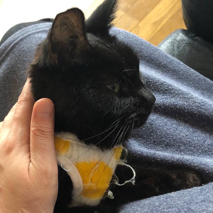 27f7398e 15ac 4c69 9b3c 44dc7e646c10 1556440882636