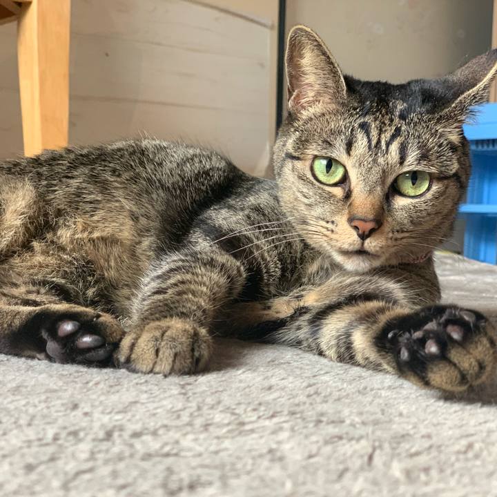 27f7480b ff95 4d8d acb9 b163b66b245e 1579584377414