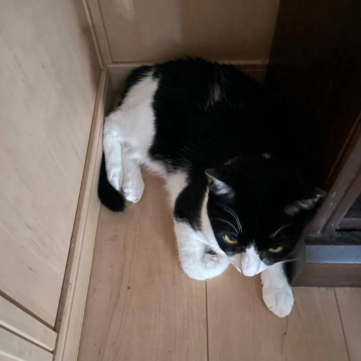 27f76baa c14c 465a af8e 8949b16a4dec 1691214310610