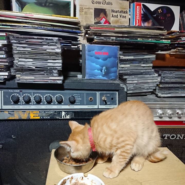 27f799c8 519e 4d49 8bdc c893b11f563f 1631878370641