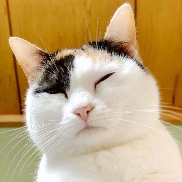 27f7e476 d7e9 40e8 b757 26141c57138a 1552358016779