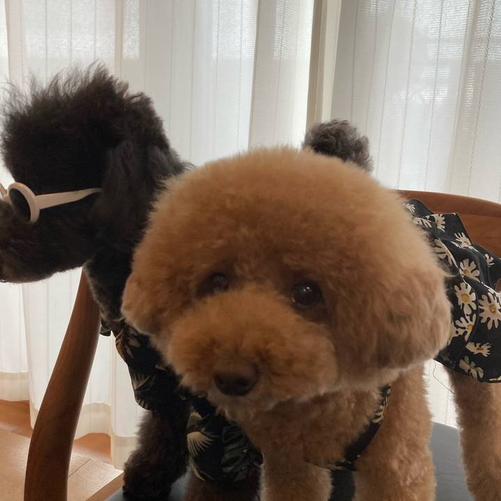 27f7fea4 97a4 43e8 923b 887c73dd8670 1623254710114