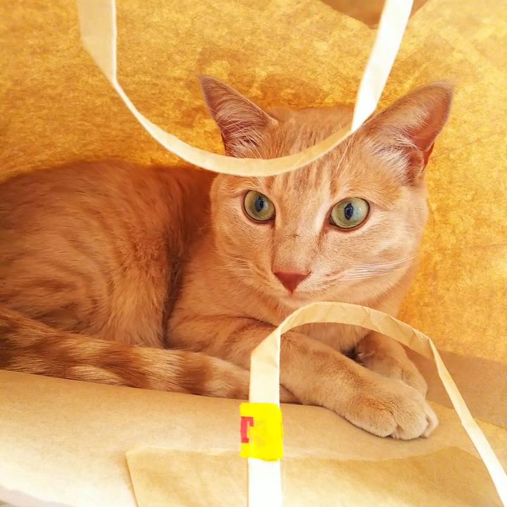 27f80c02 ccfc 4706 888d ecfe5901ff40 1658646949188