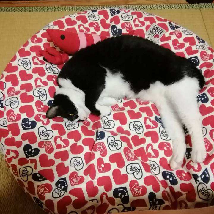 27f80cde d81a 49e1 9d3b d5750cf8a77e 1560084395986