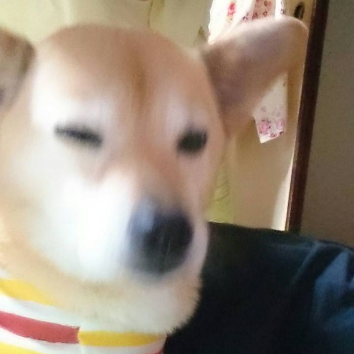 27f80f3f d8c0 4b5e 8a23 be53ab3478bd 1523878211407