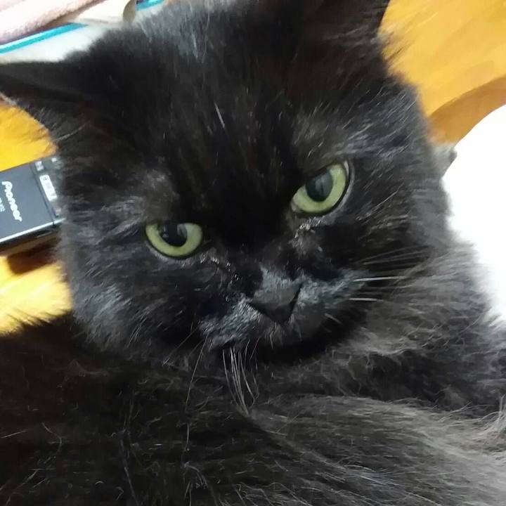 27f8494c bd27 4021 a052 8dd44e51fb8f 1539258993076