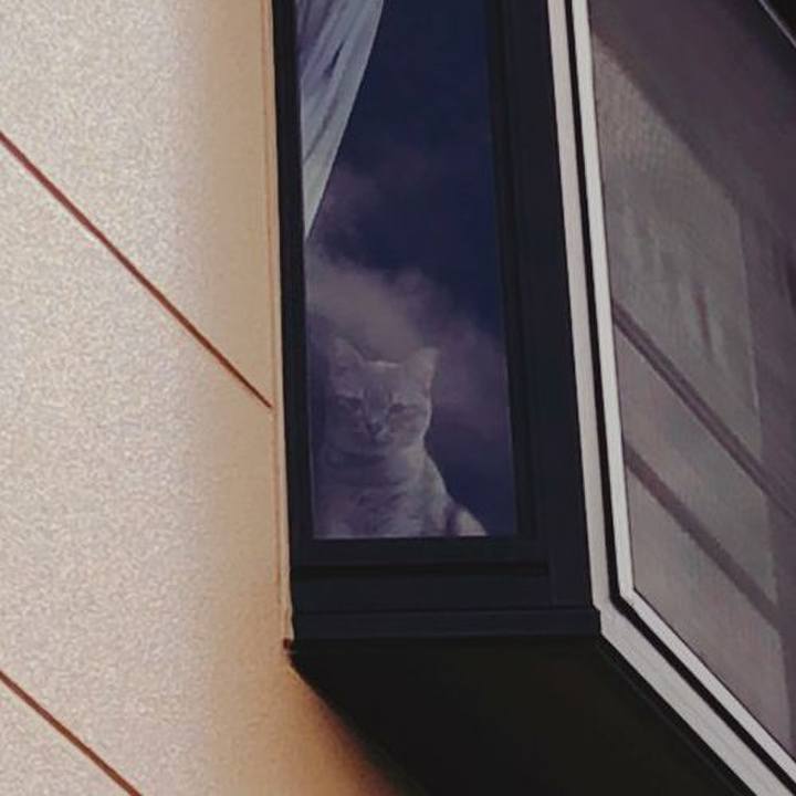 27f856fa fe42 4190 88ed d2970526a51e 1614651805123