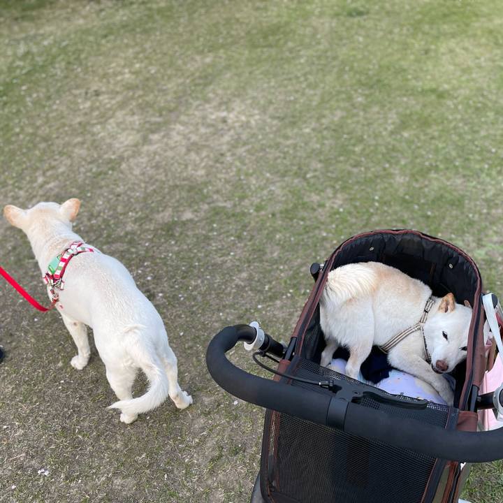 27f85878 55d4 4243 b045 14b192e69a4e 1649258703861