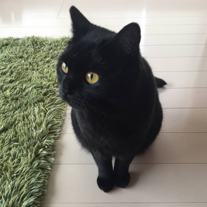 27f86a82 fe1a 4e57 8e11 5987318c0448 1525387500856