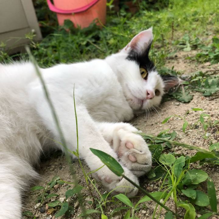 27f87b4b 0eb6 4fc9 9102 4a8673ffe9d9 1598264487385