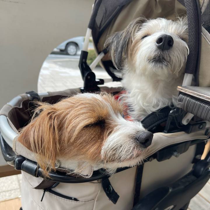 27f87cf2 bc38 4fa8 bc98 7ffb52f9744f 1765365569326