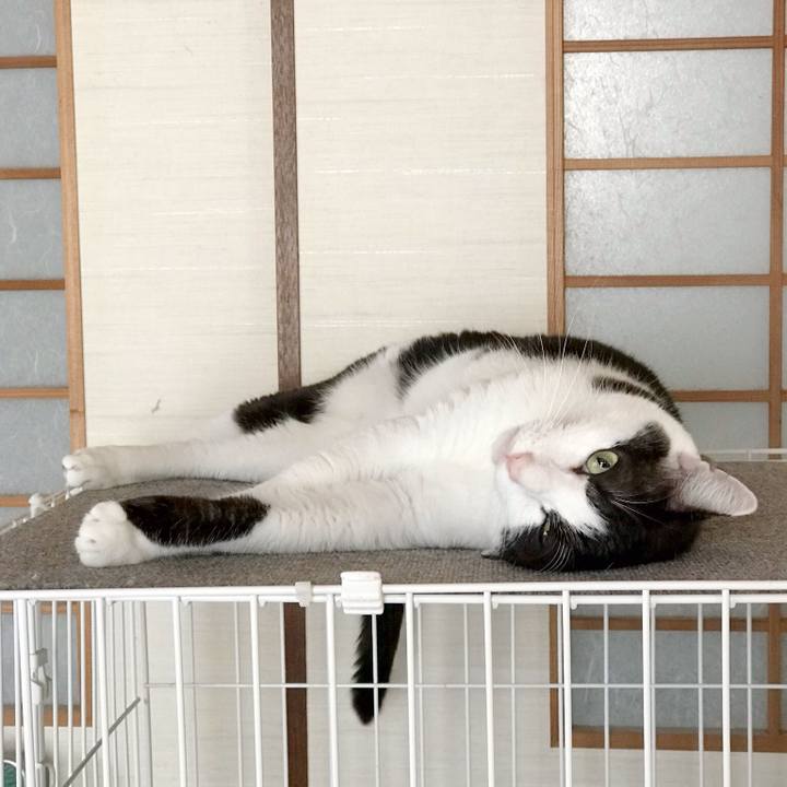 27f87f59 a9d6 45cc afc7 0410c48437dc 1537237360916