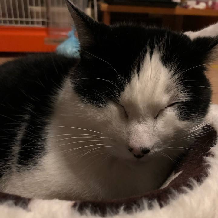 27f881dd cecf 4338 a990 40cddcd99ab0 1578411941870