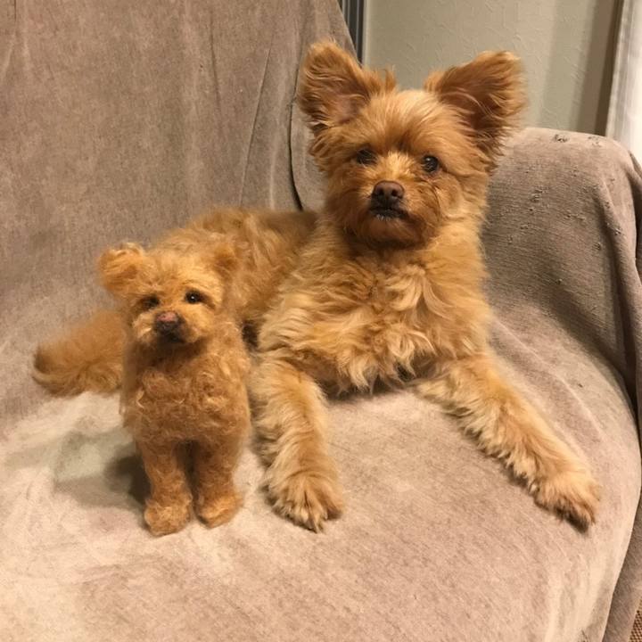 27f88efa ad30 4127 9459 f1c94f940084 1564502926574