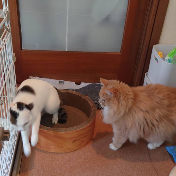 27f8e234 c5f7 460e bd54 ccdca98a38b4 1698025016177