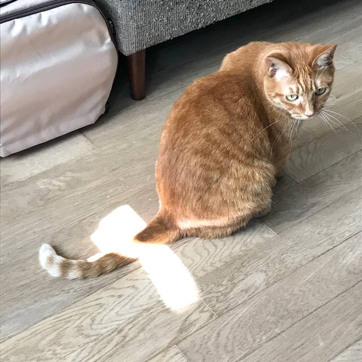 27f8ea22 1ff2 4793 98a4 b7f9677a3f55 1575807277115