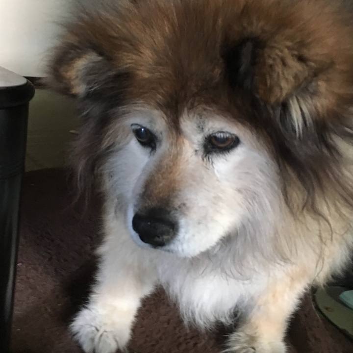 27f8f4ce b194 4575 8d51 6291563b48d4 1605193805547