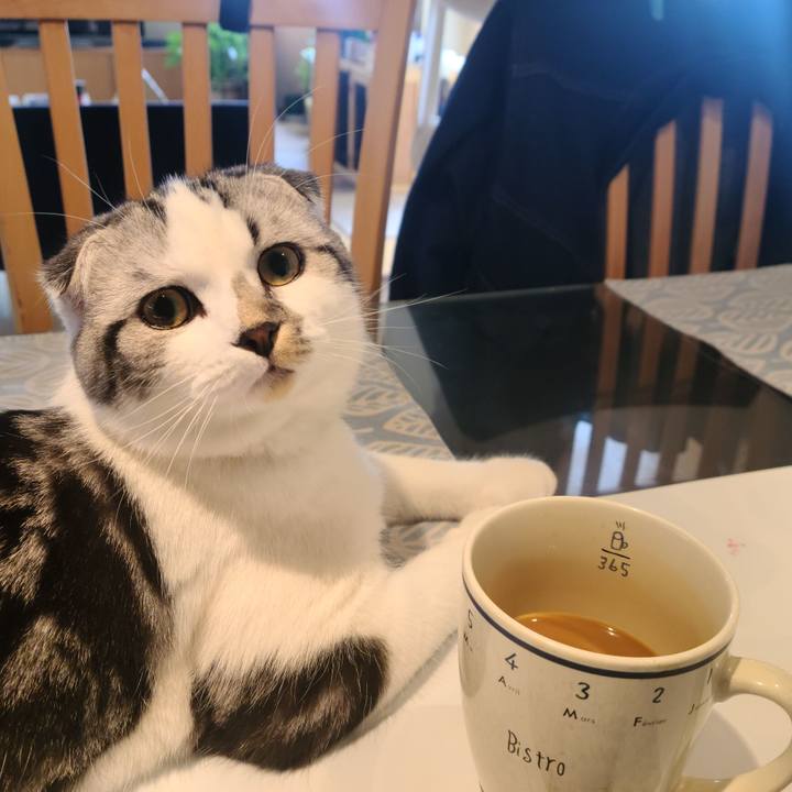 27f941e0 9c36 4100 9eaf b2548f3321db 1637629787207