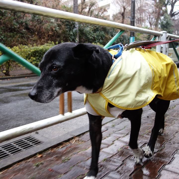 27f96676 d7b5 42e1 a8b2 55d476a0ae71 1738454329712