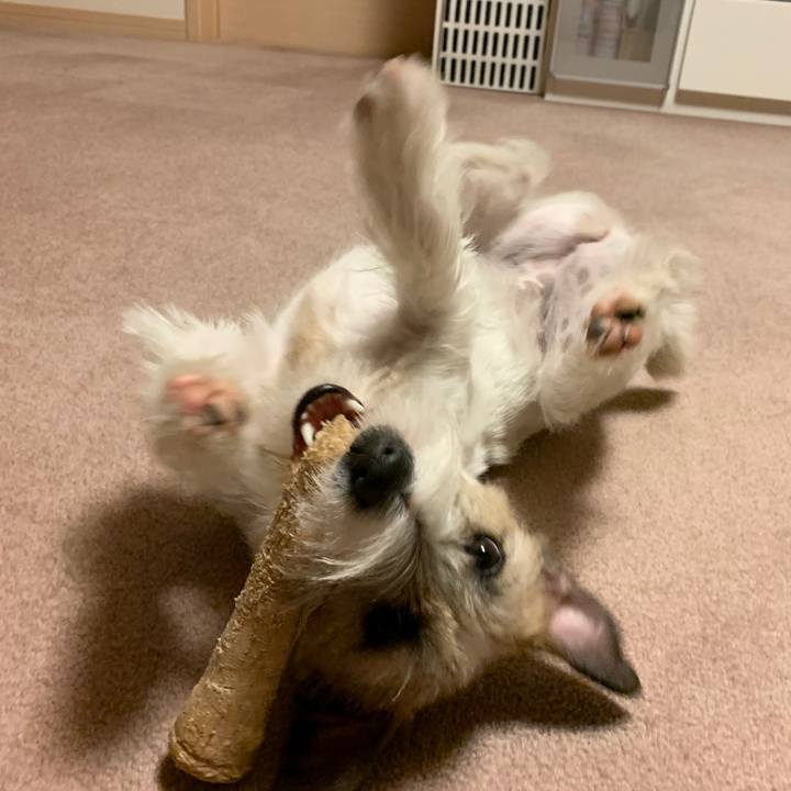 27f968b9 654a 4276 b1aa d94d34688a2d 1579609131966